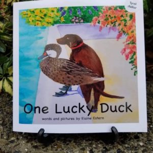 One Lucky Duck Child's Book