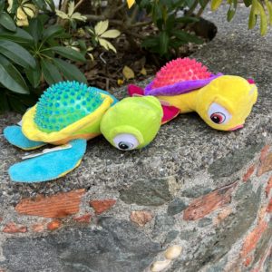 Turtle Pet Toy